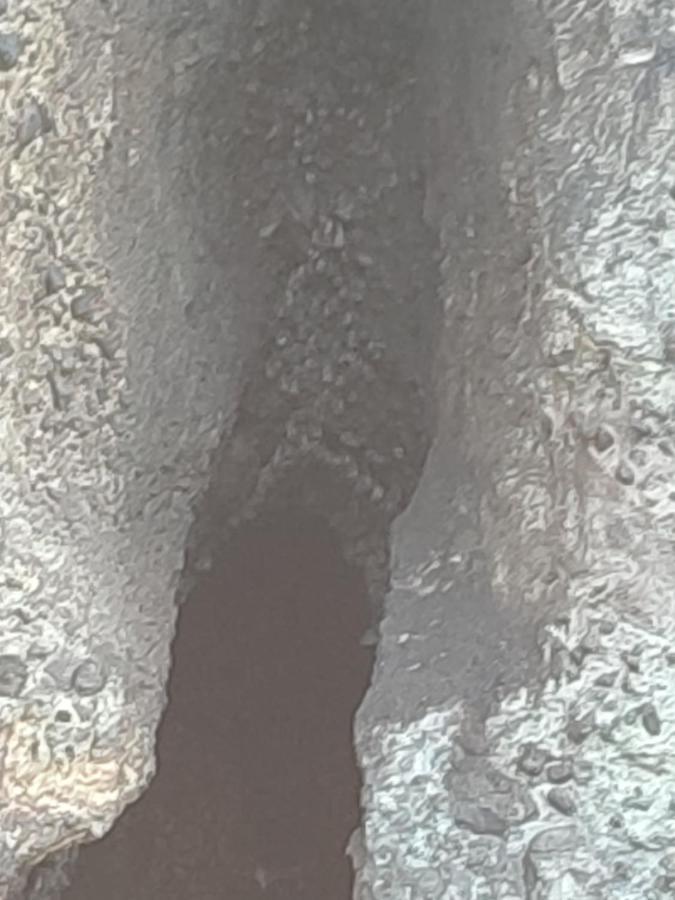 BellefontaineLes Cactus公寓 外观 照片