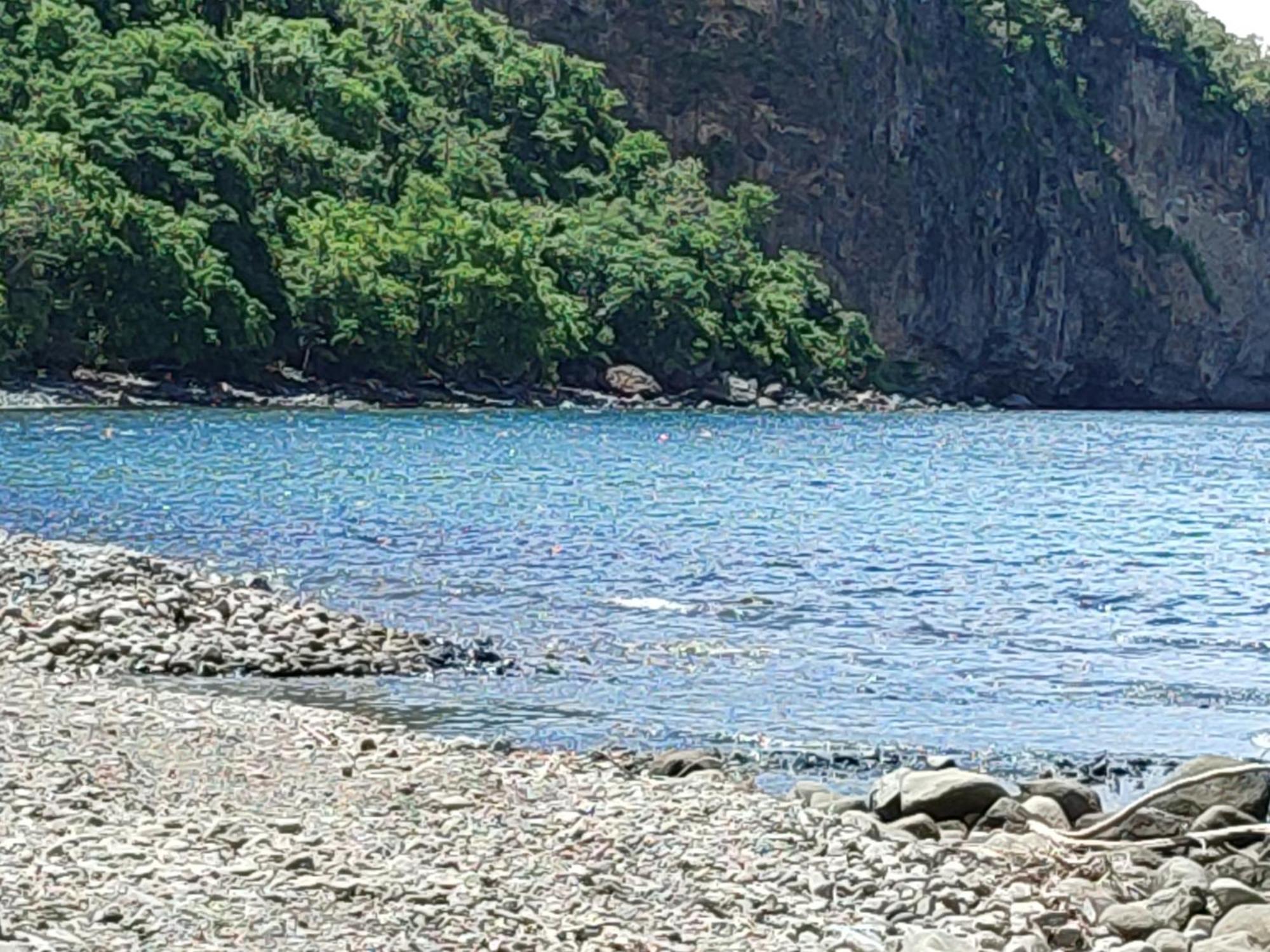 BellefontaineLes Cactus公寓 客房 照片